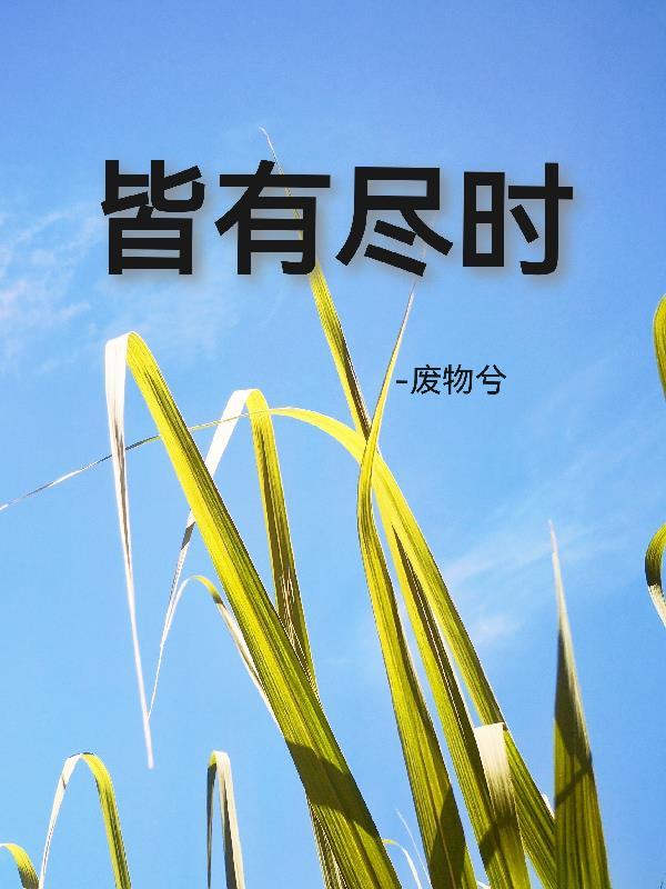 皆有的意思是什么