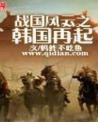 战国风云之韩国再起TXT最新章节列表