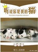 听说你是我的猫乐文