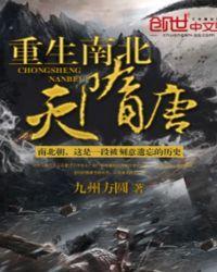 重生南北朝灭隋绝唐宇文