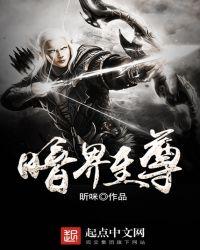 暗界神使是什么