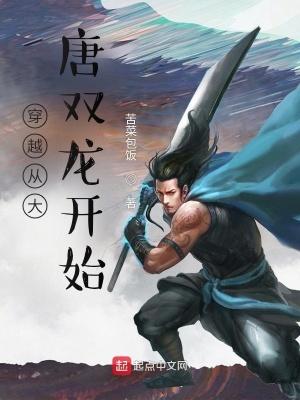 主角穿越到大唐双龙的世界