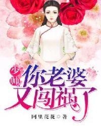 少帅你老婆又跑了大结局
