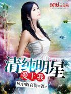 爱上明星算爱情吗