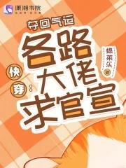 美女总裁俏佳人TXT全集