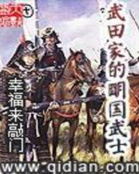 武田家的明国武士书评