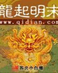 龙起明末TXT百度