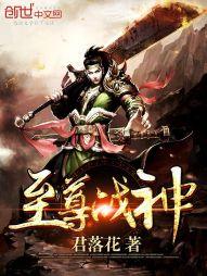 至尊战神萧尘