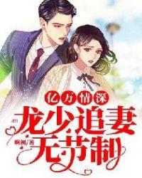 亿万情深龙少追妻无节制免费阅读