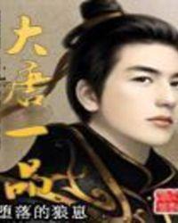 大唐一品txt