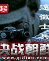 决战朝鲜花屏怎么解决