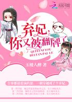 弃妃你又被翻牌了录免费阅读