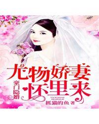 豪门隐婚尤物娇妻怀里来by抓猫的鱼免费阅读全本