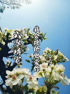 六零诱宠我会比他更爱你