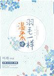 温柔像羽毛一样txt