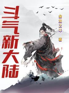 斗气大陆动画