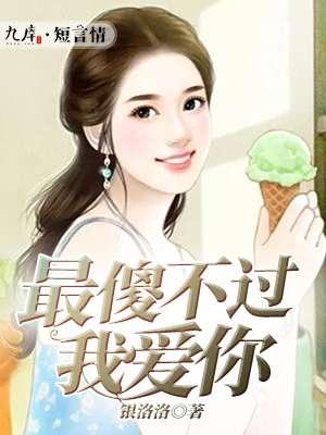 你是我见过最不傻的傻子是什么意思