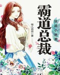 霸道总裁狂追小逃妻全集
