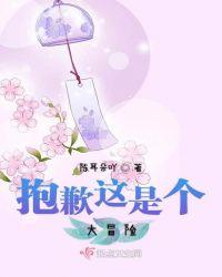 抱歉这是个大冒险图片