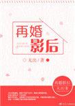 再婚后进行