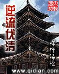 逆流阀是什么意思