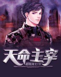 天命主宰txt