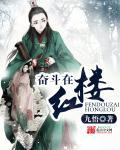 奋斗在红楼TXT全本免费
