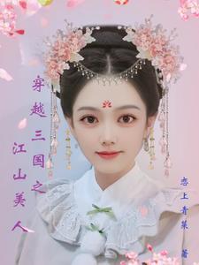 穿越三国之江山美人的