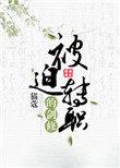 被迫转职的剑修txt全
