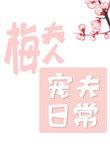 梅夫人宠夫日常讲的是什么