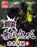夫人又闯祸了多少字