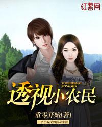 超强透视小农民