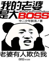 我的老婆是大BOSS方楠