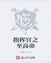 最高指挥官设定集