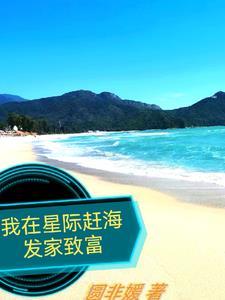 偷香高手后传TXT