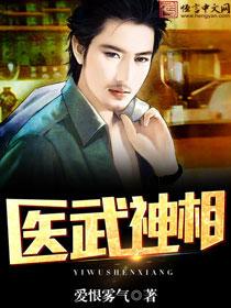 医武神相叶辰夏国