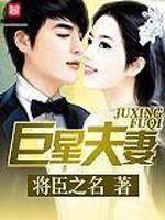 巨星夫妻TXT