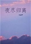 夜尽归离讲什么