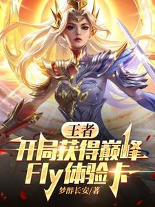 巅峰体验书
