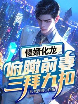 傻婿最新章节列表