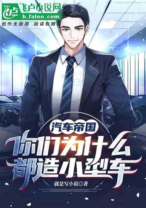 你们为什么都造小型车同文