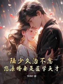 不良老公 阿蛮 内容