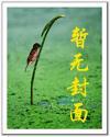 圣域战记