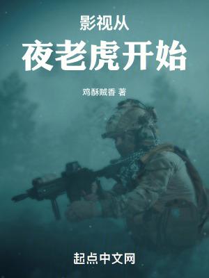 影视从夜老虎开始演员表