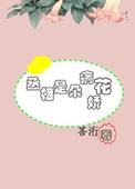重生空间红色年代无弹窗