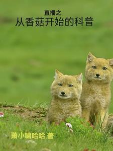 木仙府记事