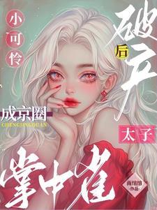 宋小姐每天都在闹婚电视剧百度百科