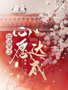 综清穿之心愿达成作者再来一勺