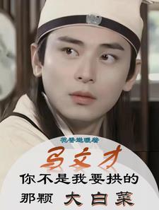 马文才完结