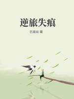 逆旅的旅